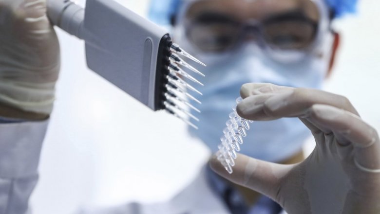 МИД Китая заявил об «общемировом» происхождении коронавируса