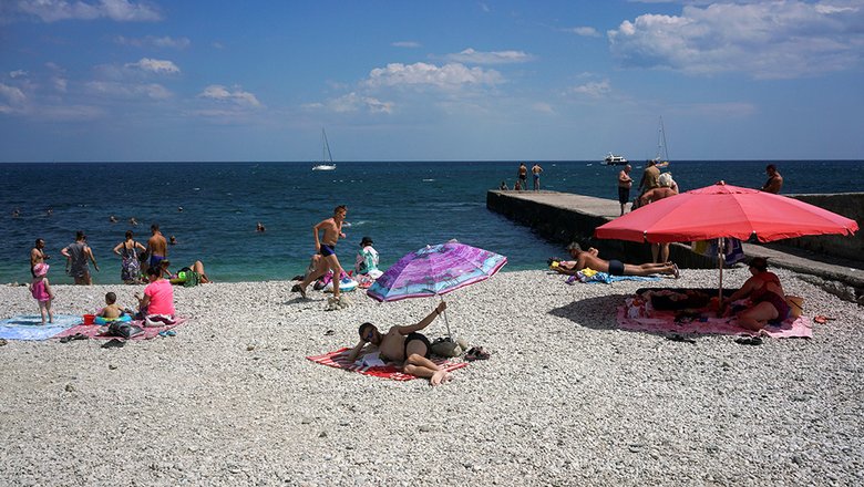 Россиянам запретили приводить на пляж животных и плавать на бревнах