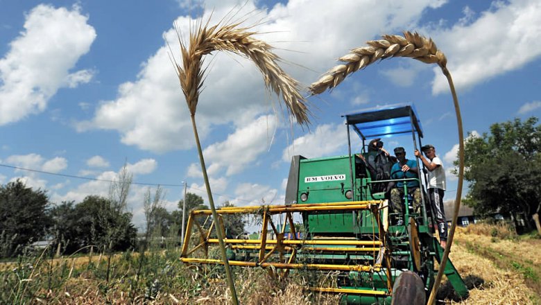 Стоимость российской пшеницы бьет многолетние рекорды