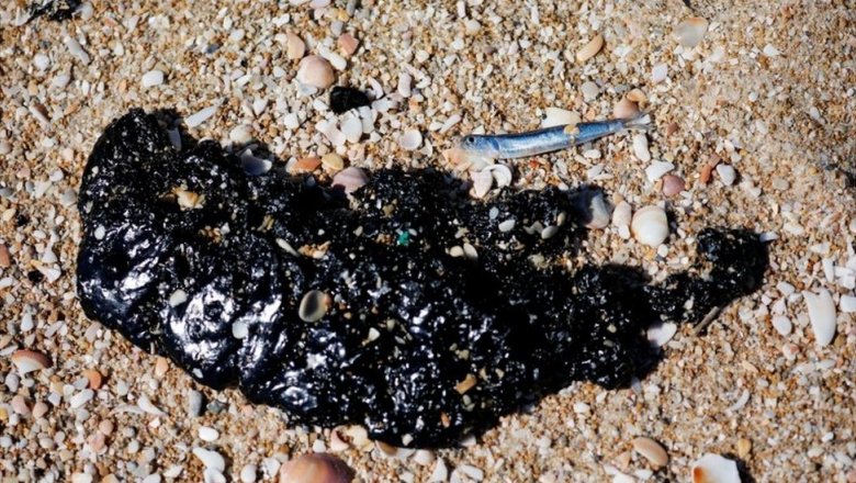 «Крупнейшая экологическая катастрофа в Израиле»: десятки тонн мазута изуродовали средиземноморский берег