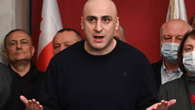 Нино Бурджанадзе обвинила власти Грузии в стремлении к диктатуре