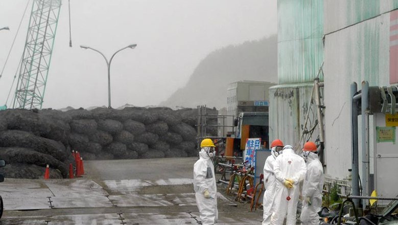 СМИ: в Фукусиме впервые за два года выловили зараженную радиацией рыбу