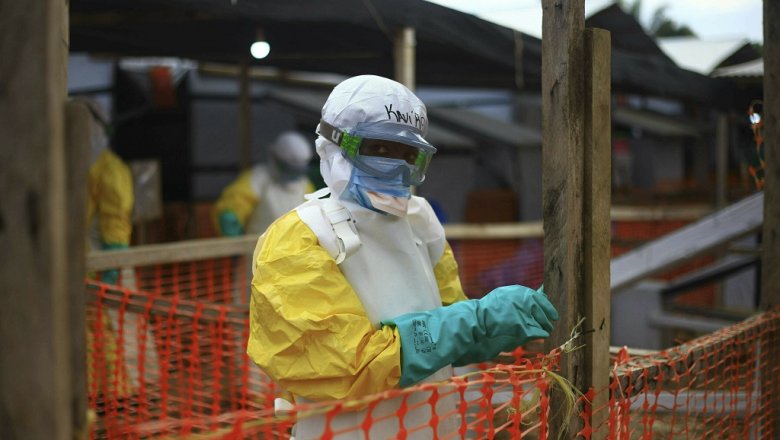 Власти Гвинеи объявили о начале эпидемии вируса Эбола