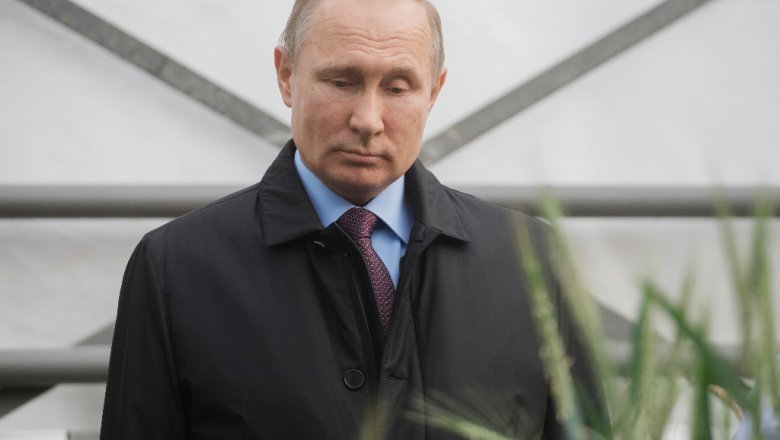 Зерновой союз просит Путина не поддерживать ужесточение ограничений на экспорт зерна