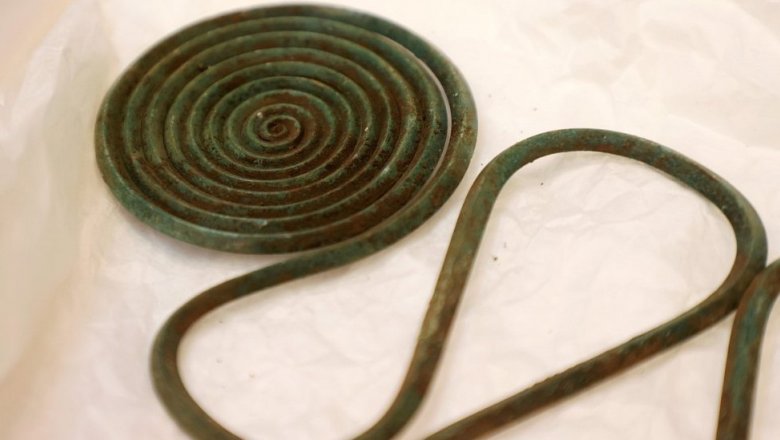 Ожерелья, браслеты и заколки: в Швеции в лесу нашли клад бронзового века
