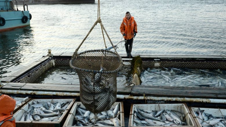 Рыбопромышленники предлагают изменить механизм контроля улова