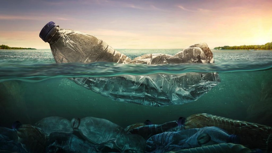 Загрязнение мирового океана: причины и последствия