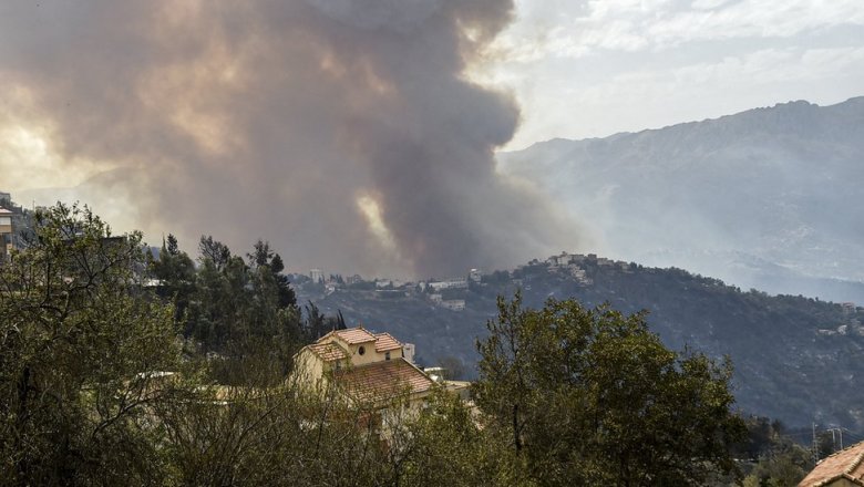 «Конец света». Лесные пожары в Алжире унесли жизни десятков человек