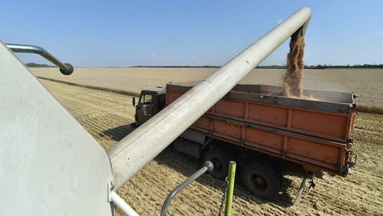 ФАС и Минсельхоз отчитаются за подорожание пшеницы