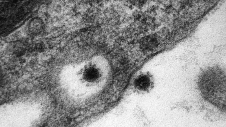 В России выявили пять случаев нового варианта коронавируса
