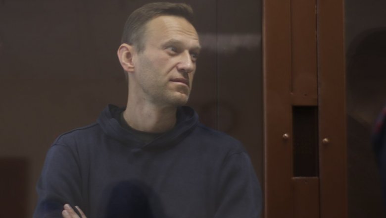 Навальный в суде отказался извиняться перед внуком ветерана