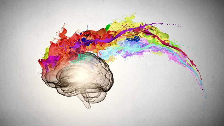 Названы 10 неожиданных фактов о человеческом мозге