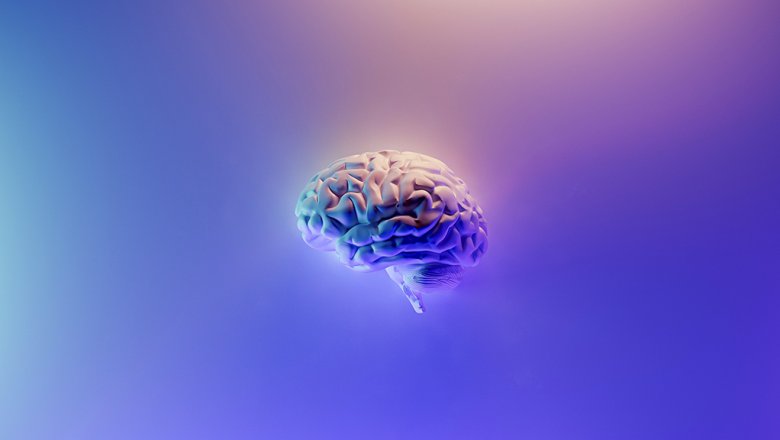 Названы 10 неожиданных фактов о человеческом мозге