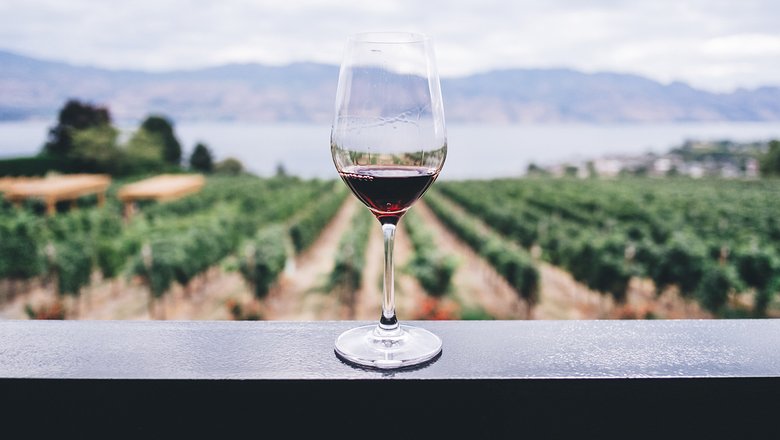 Эксперты объяснили, почему от красного вина болит голова