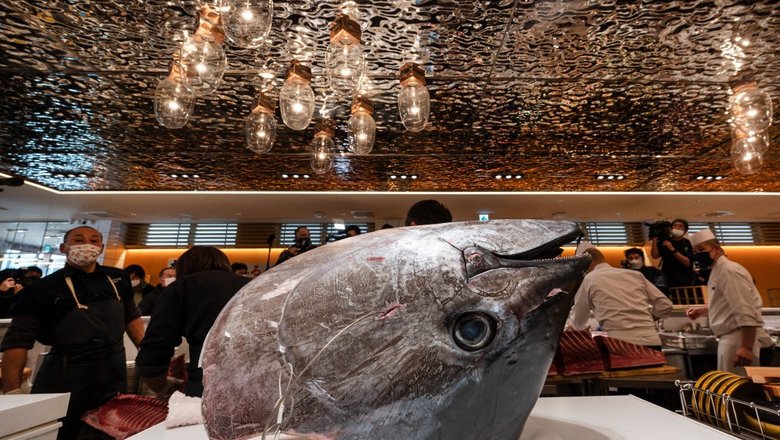 На первом в этом году аукционе гигантского тунца продали за $788 тыс