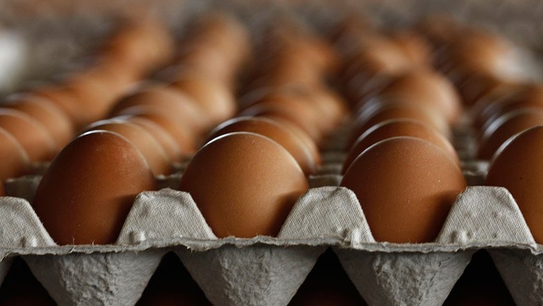 Обращение к считателю: запрет на «девяток яиц» хотят вписать в ГОСТ
