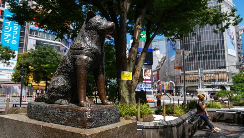 В Японии отмечают сто лет со дня рождения пса Хатико