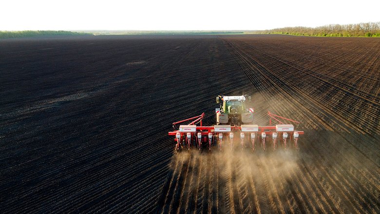 В России внедряют новую сельскохозяйственную культуру